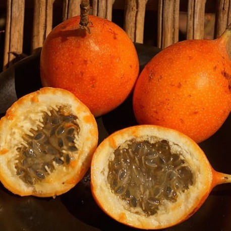 Resultado de imagem para maracuja doce